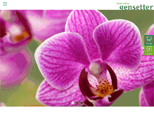 Tablet Screenshot of gensetter.ch